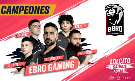 Ebro Ganador Lolcito Salvaje abierto