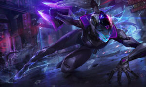 PROYECTO VAYNE WR