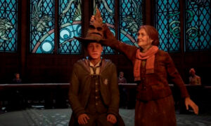 sombrero-seleccionador