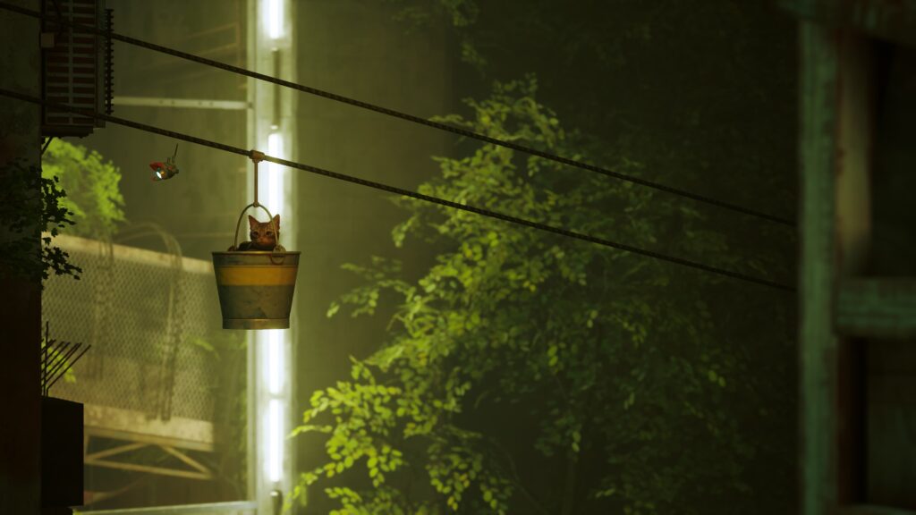 stray-fecha-de-lanzamiento-trailer