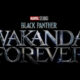 black-panther-wakanda-forever-trailer-comic-con-2022