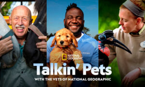 talkin-pets