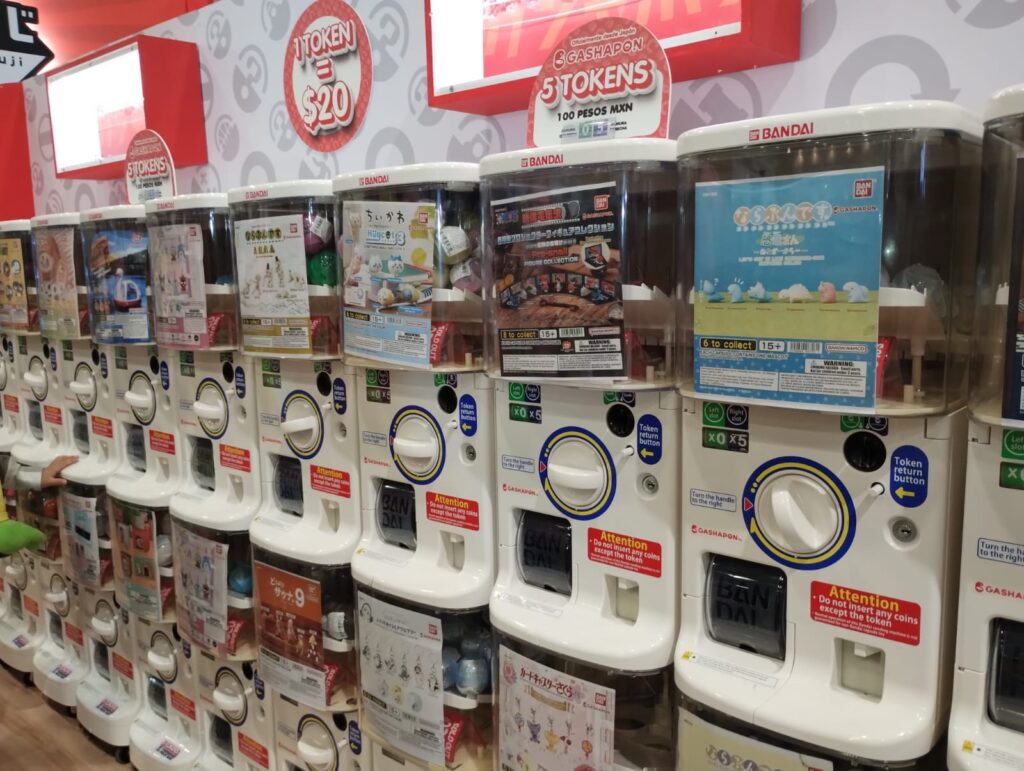 animole-2023-cobertura