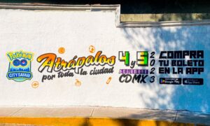 pokemon-city-safari-mexico-actividades