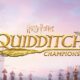 Harry-Potter-Quidditch-Champions